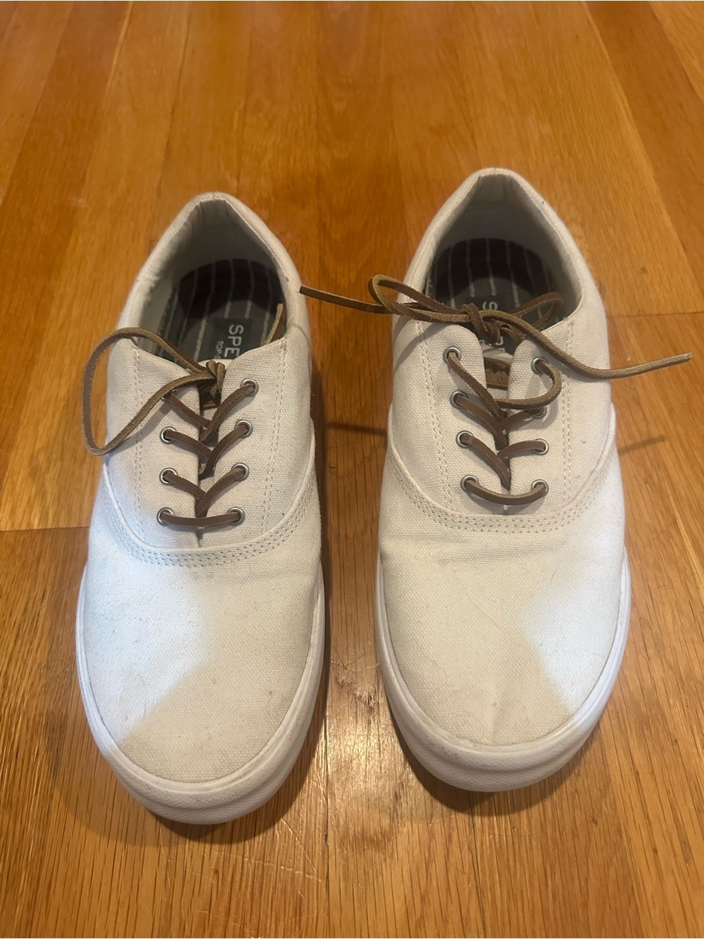 Sperry White Canvas Men's Sneakers with Brown Laces